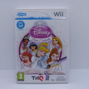 Disney princesse livres enchantés