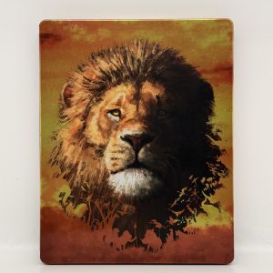 Le roi lion steelbook bluray 4K