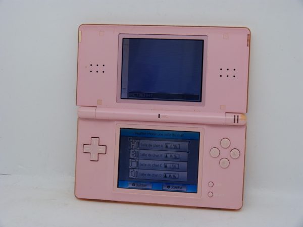 Console Nintendo DS lite